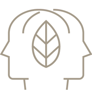 At Travelisto Reps, we are easy to work with; personal, approachable, and fun